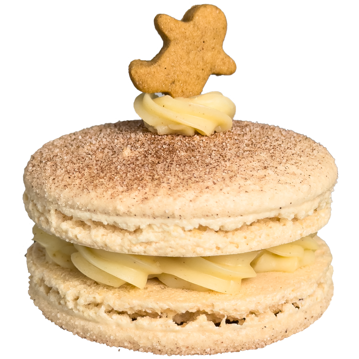 まかろん Snickerdoodle Macroron® – Cinnamon Macaron – MacaronMaestro